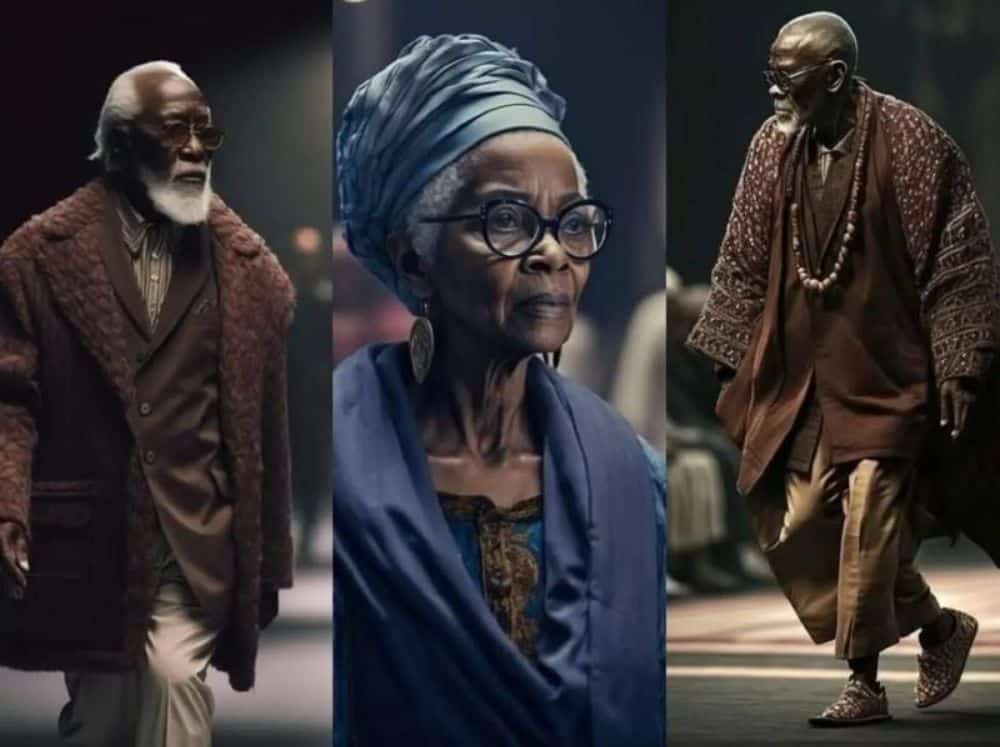 African Dream de Malik