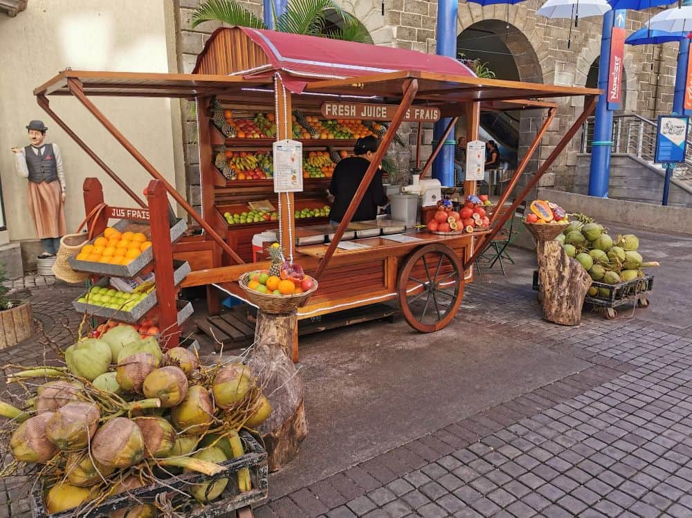 ILHAS MAURICIAS - A OBRA DE ARTE DO INDICO 