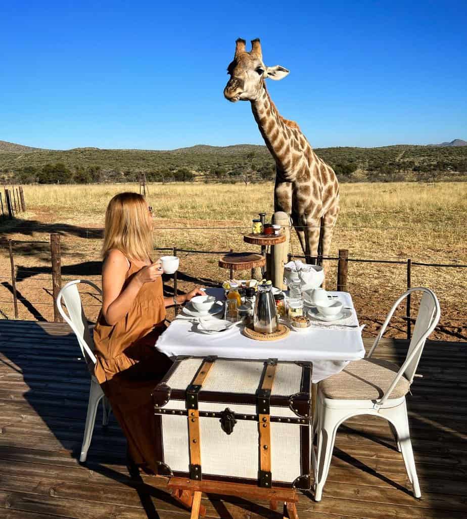 10 EXPERIÊNCIAS A NÃO PERDER NA NAMÍBIA - Voigtland Guesthouse